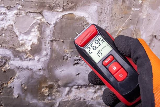 Best Toxic Mold Removal  in Taylorsville, NC
